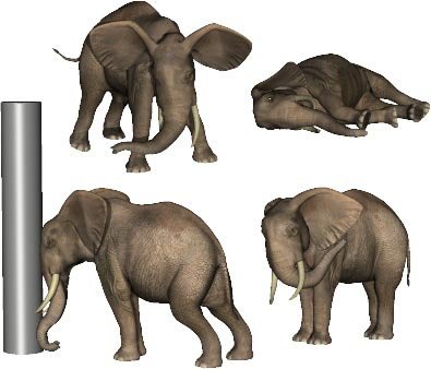 Elephant Poses Elephant Poses by: Digiport, 3D Models by Daz 3D