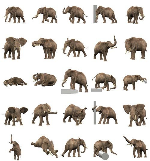 Elephant Poses by: Digiport, 3D Models by Daz 3D