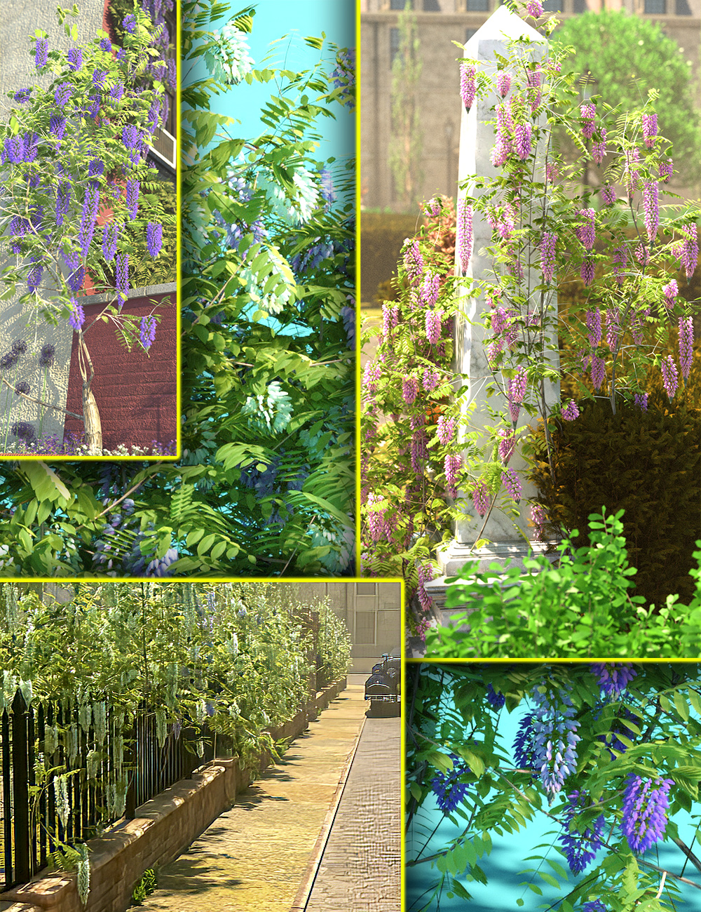 Wisteria Bushes and Wall Shrubs by: MartinJFrost, 3D Models by Daz 3D