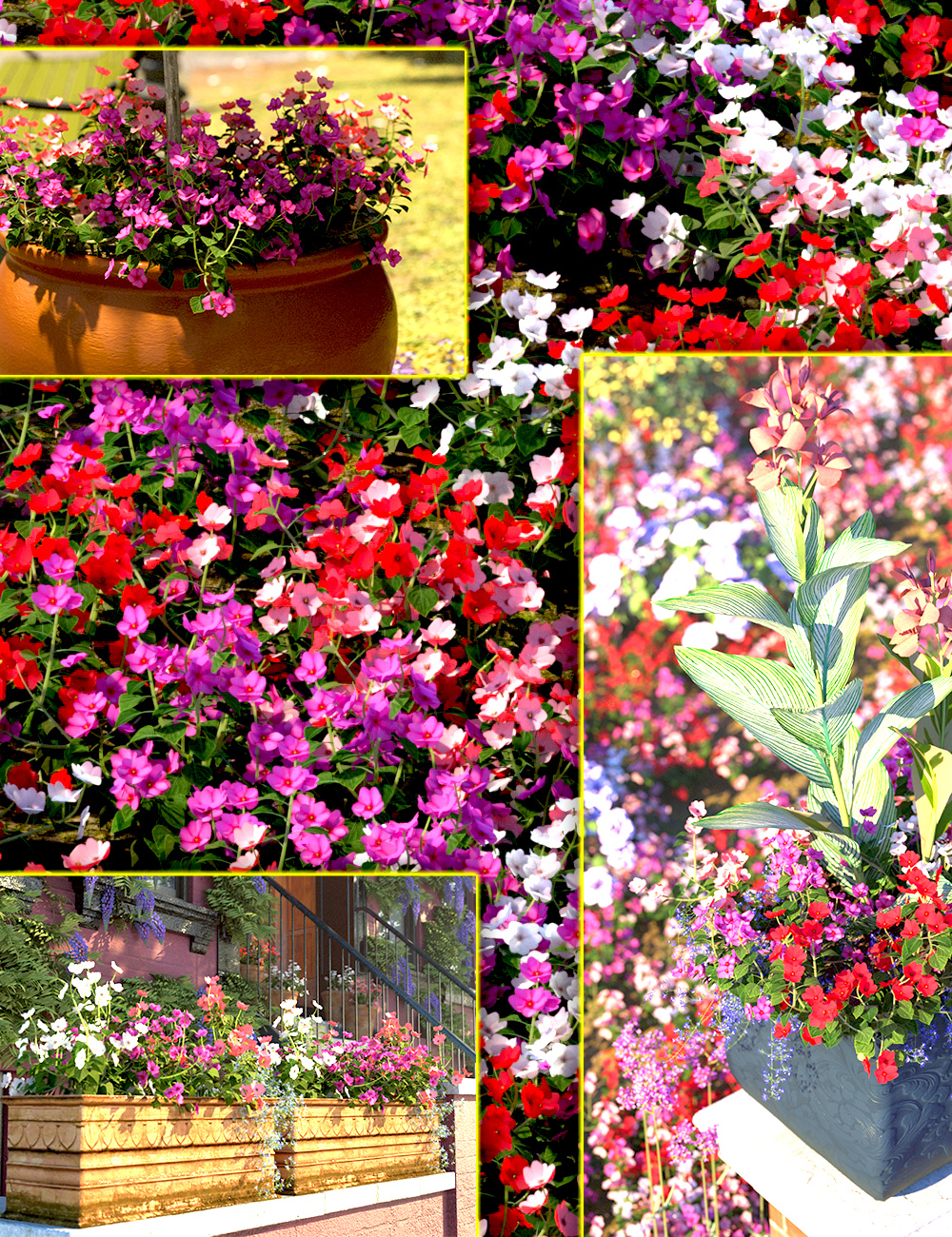 Cottage Garden Flowers  - Busy Lizzies by: MartinJFrost, 3D Models by Daz 3D