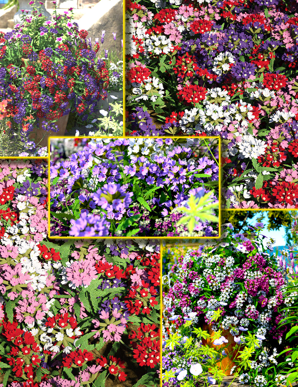 Cottage Garden Flowers - Bedding Verbina by: MartinJFrost, 3D Models by Daz 3D