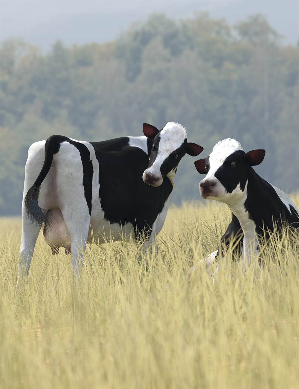 Grazing Queen Poses for Cow for Horse 3 by: Ensary, 3D Models by Daz 3D