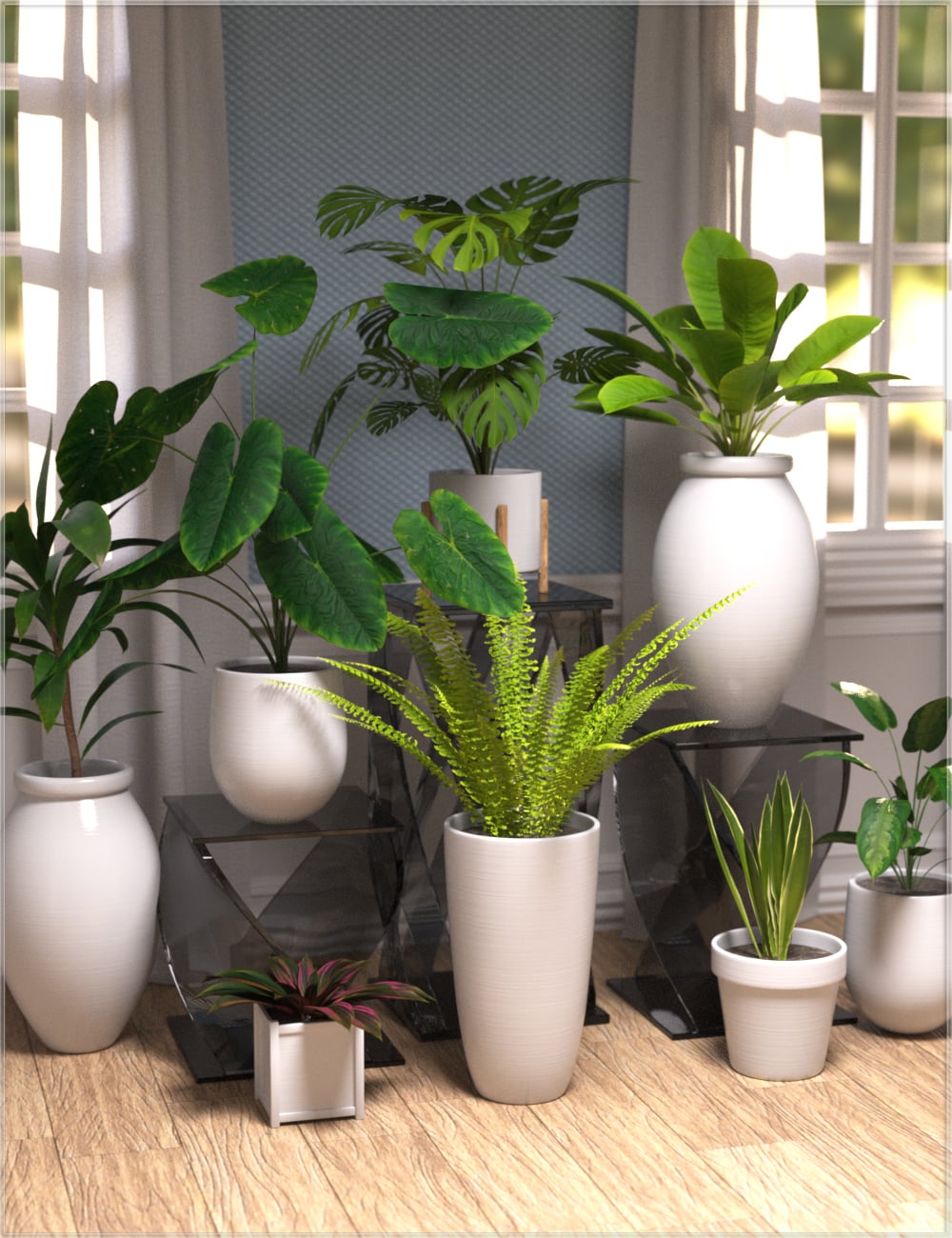Plant Collection - House Plants by: Nikisatez, 3D Models by Daz 3D