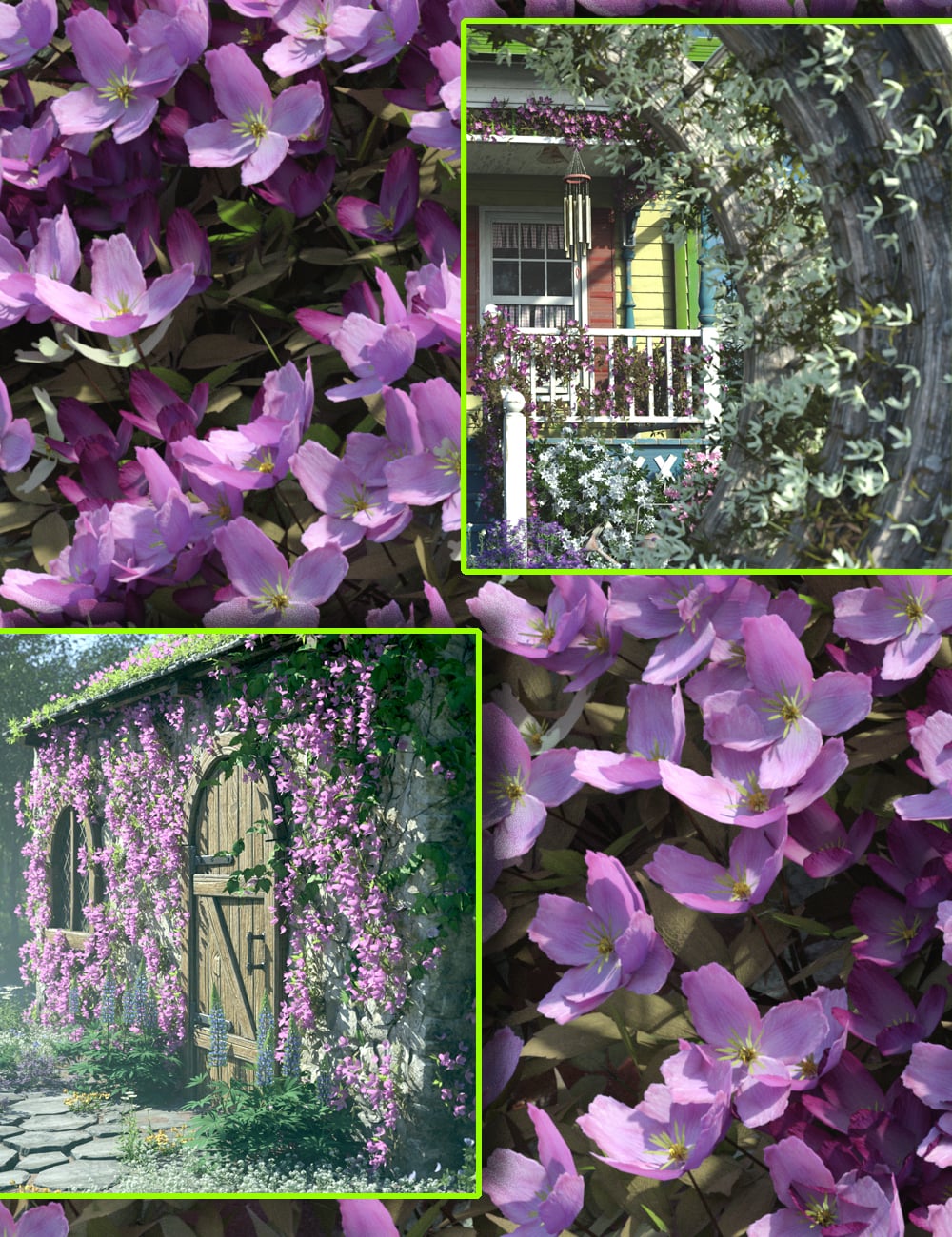 Scatters - Clematis Montana - With Ultra Scatter 2 Presets by: MartinJFrost, 3D Models by Daz 3D