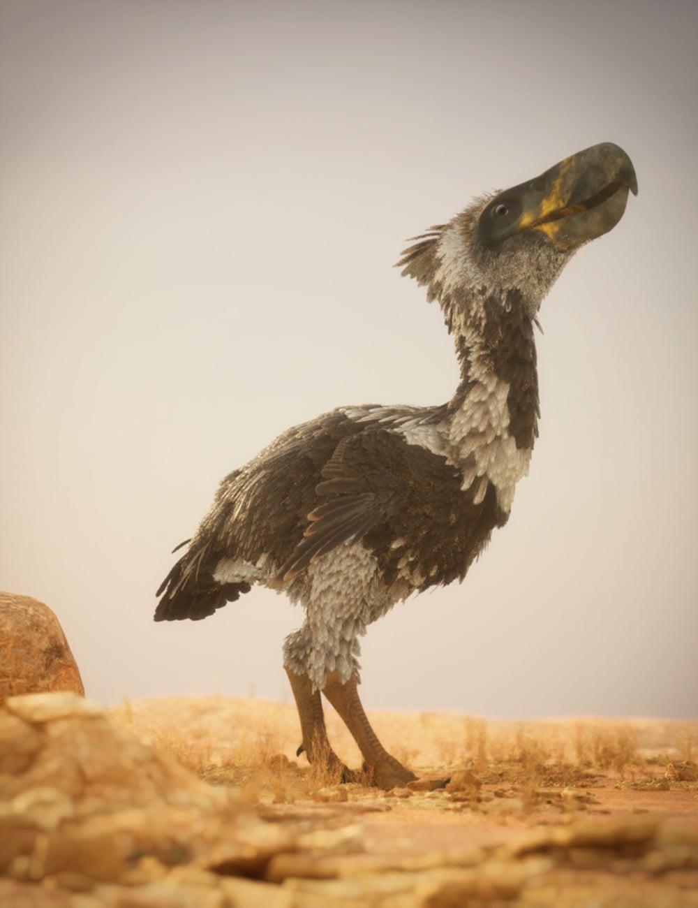Terror Bird by AM by: Alessandro_AM, 3D Models by Daz 3D