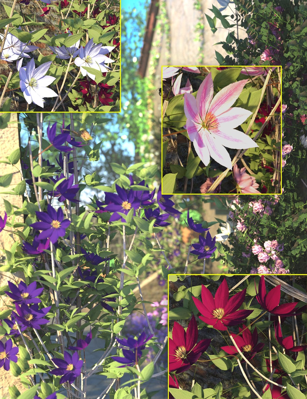 Large Flowered Clematis Plants by: MartinJFrost, 3D Models by Daz 3D