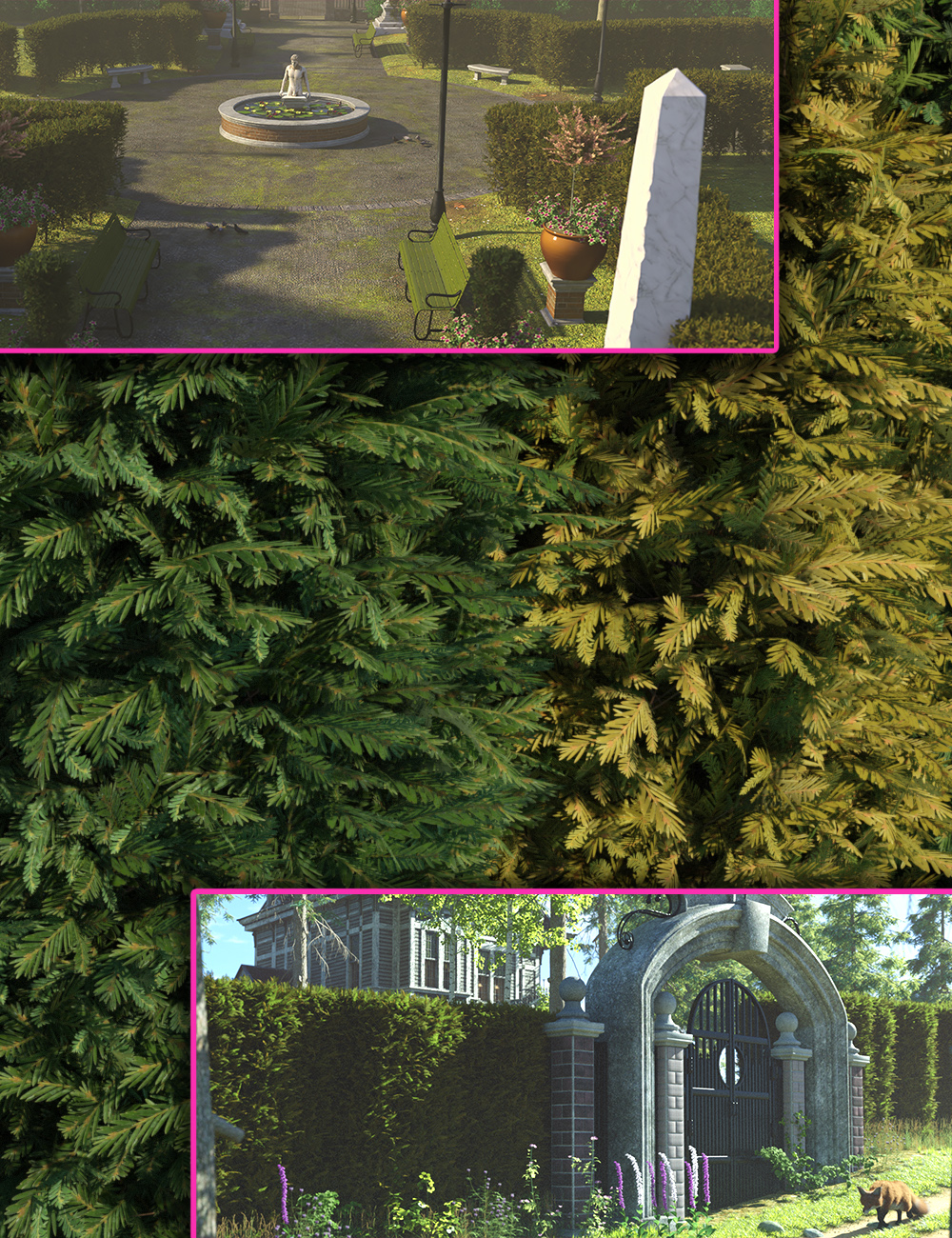 Yew Hedge Plants with Hedge Maker Presets (Hedgerow Kit 5) by: MartinJFrost, 3D Models by Daz 3D