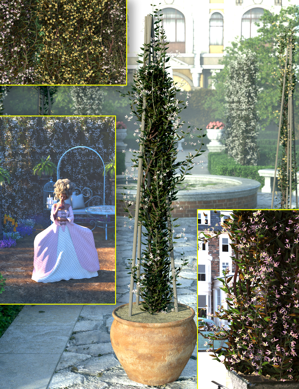 Star Jasmine Climbing Plants by: MartinJFrost, 3D Models by Daz 3D