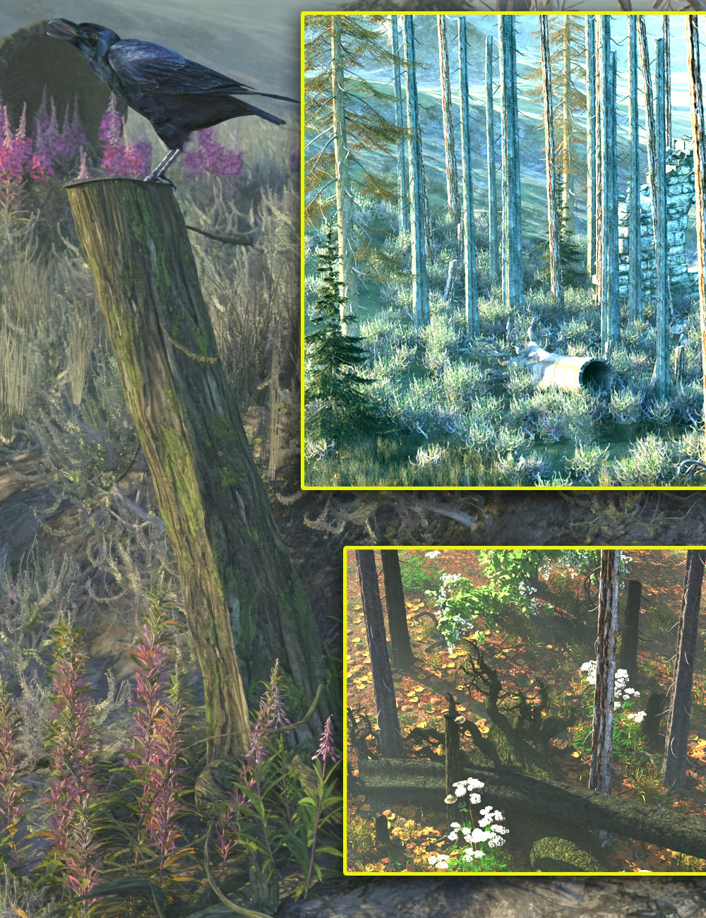 Deadwood Tree Trunks, Logs and Stumps by: MartinJFrost, 3D Models by Daz 3D