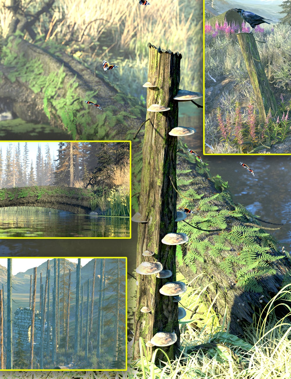 Deadwood Tree Trunks, Ferns and Fungi Bundle by: MartinJFrost, 3D Models by Daz 3D