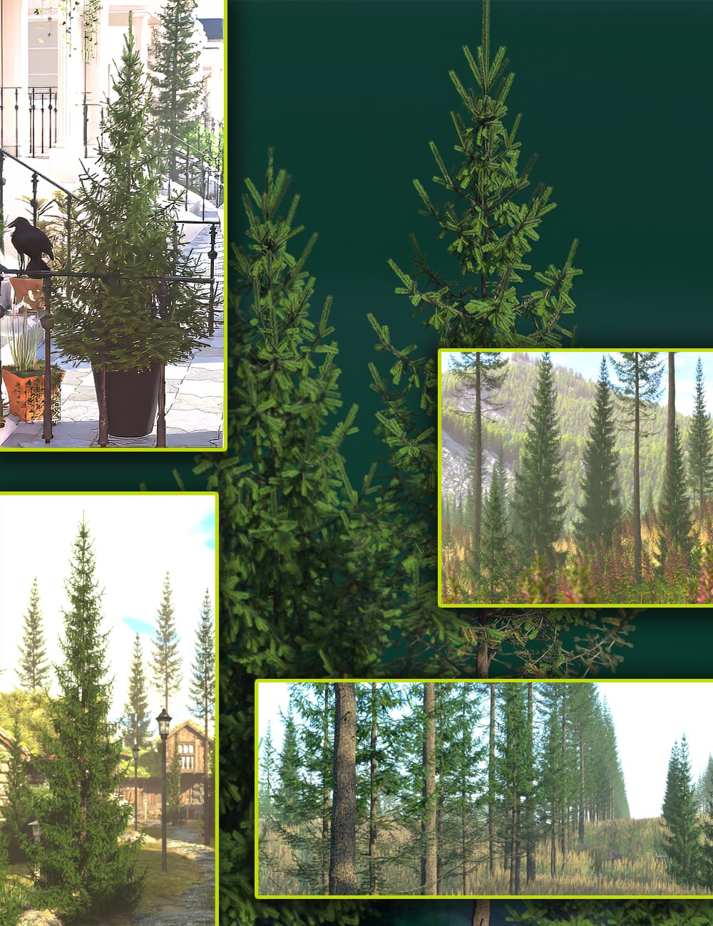 Pine Forests - Norway Spruce by: MartinJFrost, 3D Models by Daz 3D