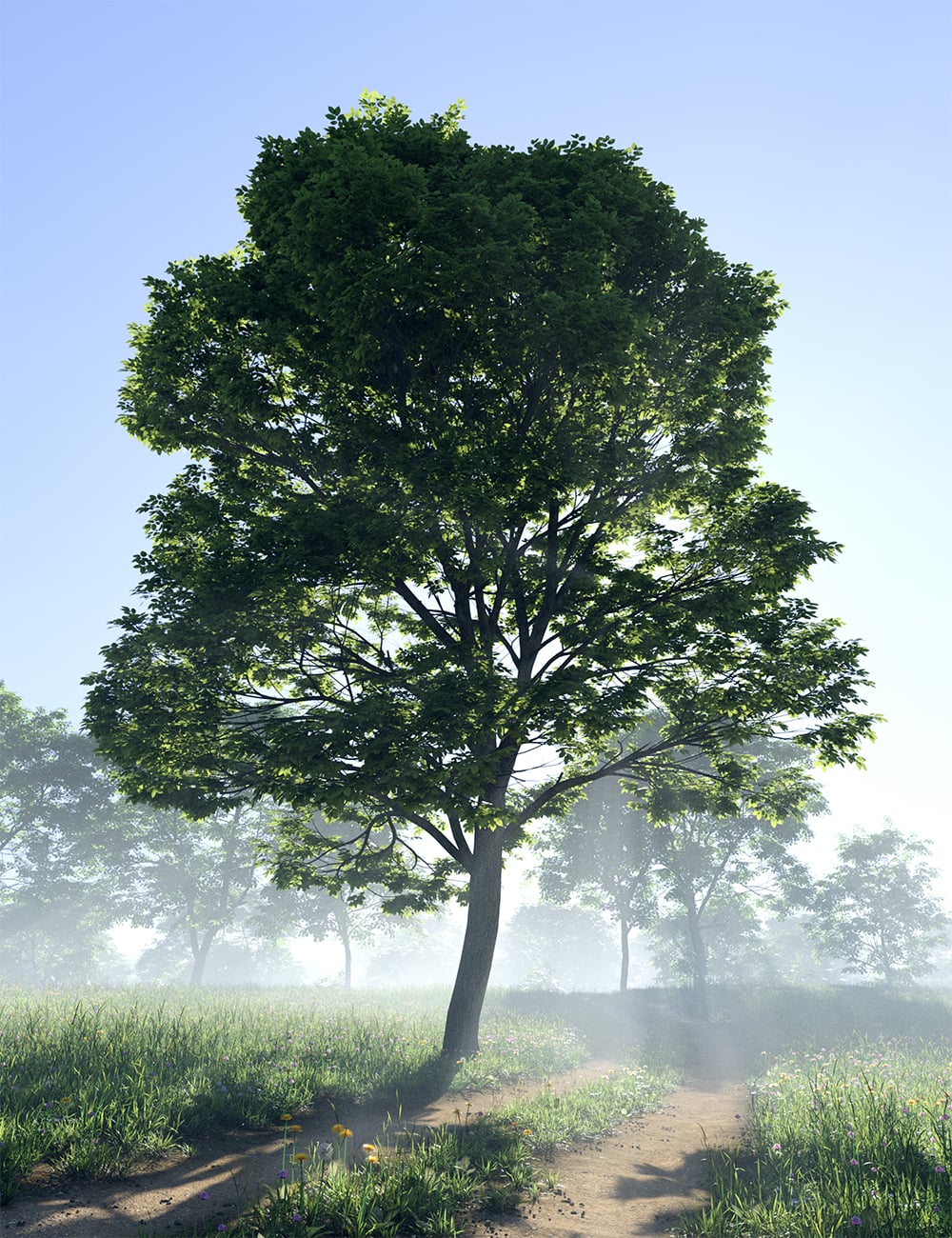 Howies Horticulture - Elm Trees by: HowieFarkes, 3D Models by Daz 3D
