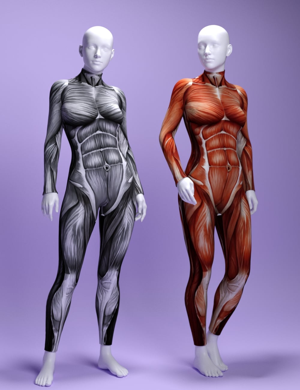 dForce  Muscle Suit for Genesis 9 and 8 Female by: MavisSky, 3D Models by Daz 3D