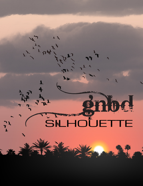 GNBD Silhouette Brushes by: Giko, 3D Models by Daz 3D