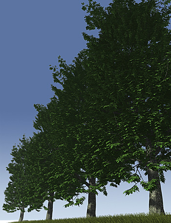 Predatron Horse Chestnut Trees by: Predatron, 3D Models by Daz 3D