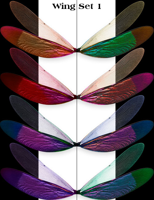 Touch of the Dragonfly Touch of the Dragonfly by: Ravnheart, 3D Models by Daz 3D