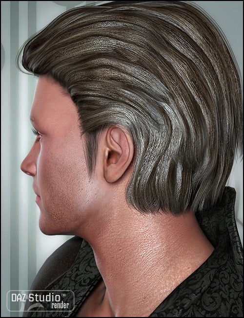 Royal Prince Hair by: goldtasselPropschick, 3D Models by Daz 3D