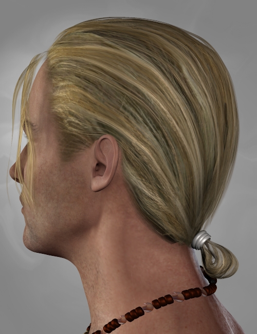 CasualSlick Hair by: Neftis3D, 3D Models by Daz 3D
