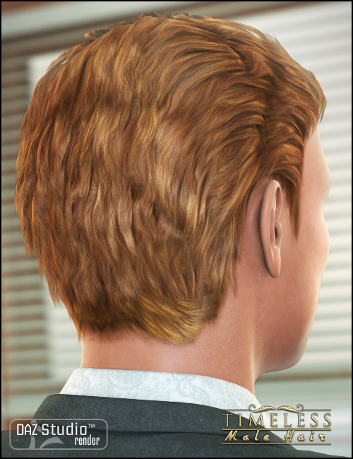 Timeless Male Hair by: goldtassel, 3D Models by Daz 3D