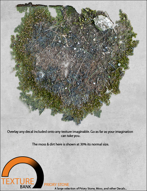 Texture Bank Vol 10 Priory Stone Texture Bank Vol 10 Priory Stone by: ForbiddenWhispersFWDesign, 3D Models by Daz 3D