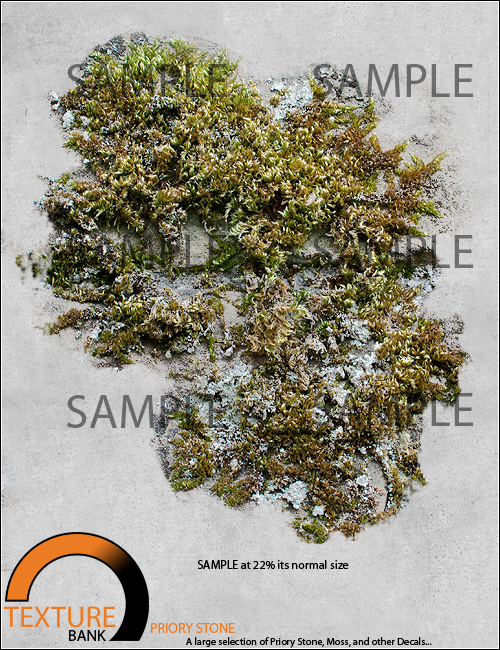 Texture Bank Vol 10 Priory Stone Texture Bank Vol 10 Priory Stone by: ForbiddenWhispersFWDesign, 3D Models by Daz 3D