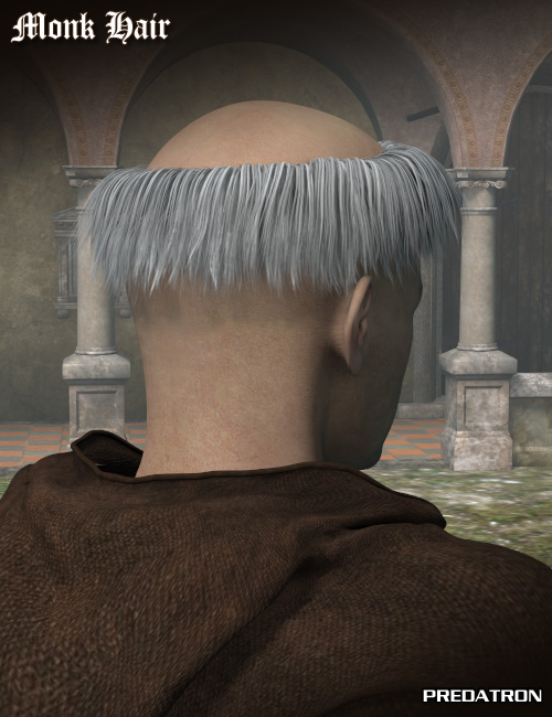 M4 Monk Hair by: Predatron, 3D Models by Daz 3D