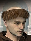 M4 Monk Hair M4 Monk Hair by: Predatron, 3D Models by Daz 3D