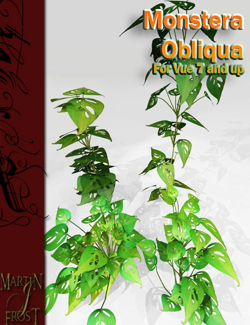 Monstera Obliqua - Jungle Plants for Vue by: MartinJFrost, 3D Models by Daz 3D