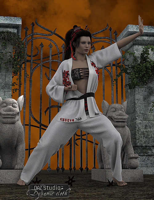 Dynamic Martial Arts Gi for Michael and Victoria 4 by: SimonWMOptiTex, 3D Models by Daz 3D