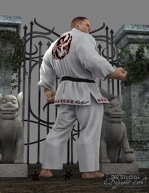 Dynamic Martial Arts Gi Bundle Daz 3D