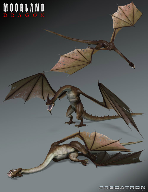 Moorland Dragon by: Predatron, 3D Models by Daz 3D