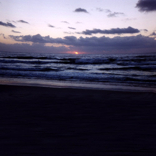 LB Summer Sunrise Cyclorama Textures LB Summer Sunrise Cyclorama Textures by: Lisa's Botanicals, 3D Models by Daz 3D