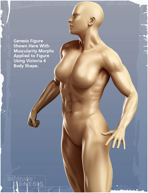 Genesis Evolution: Muscularity by: , 3D Models by Daz 3D