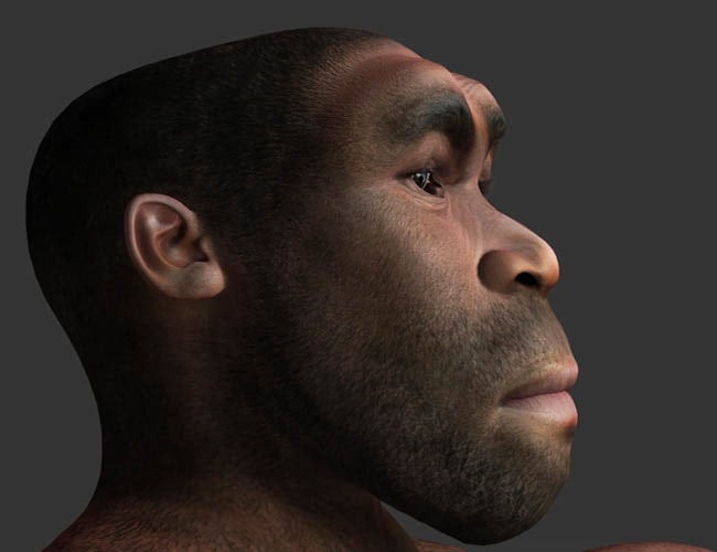 Homo Erectus M4 Homo Erectus M4 by: , 3D Models by Daz 3D