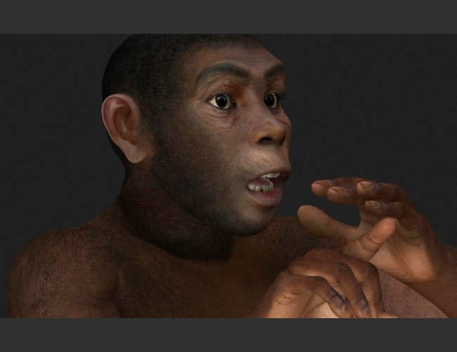 Homo Erectus V4 Homo Erectus V4 by: , 3D Models by Daz 3D