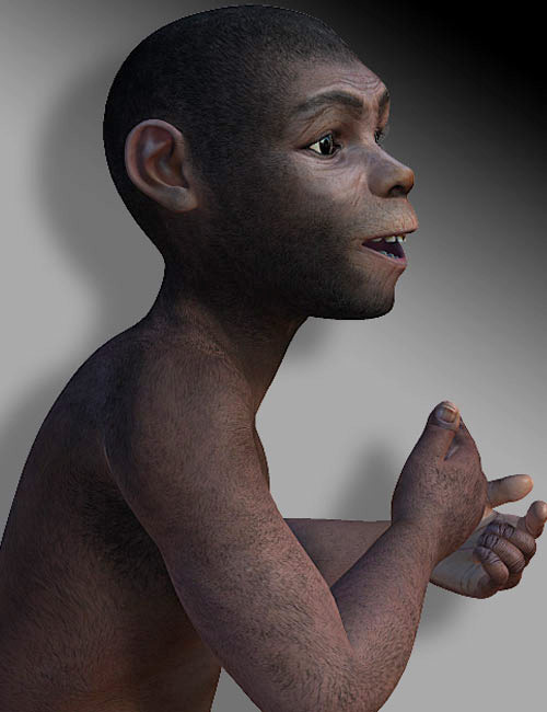 Homo Erectus K4 by: , 3D Models by Daz 3D