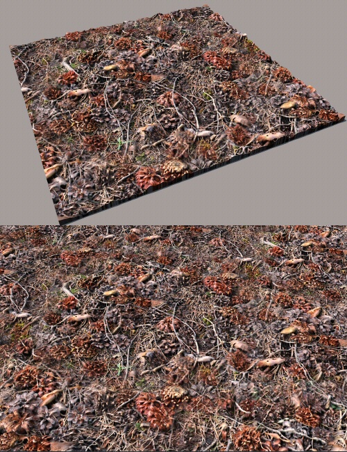 Bryce 7 Pro Ground Texture Tiles and Matching Terrain by: David BrinnenHoro, 3D Models by Daz 3D