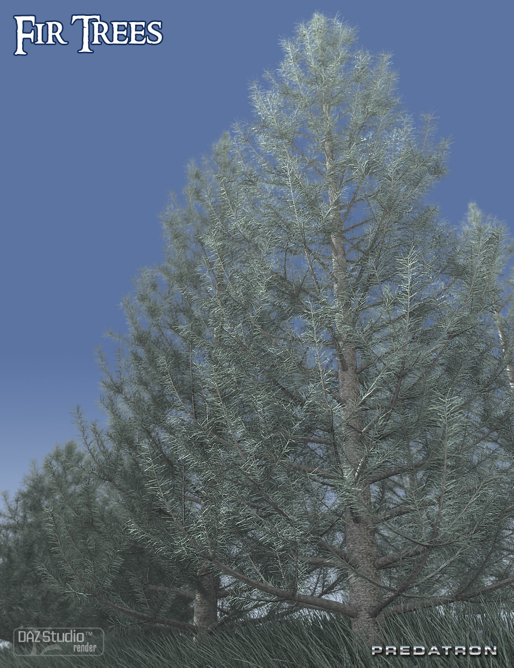 Predatron Fir Trees by: Predatron, 3D Models by Daz 3D