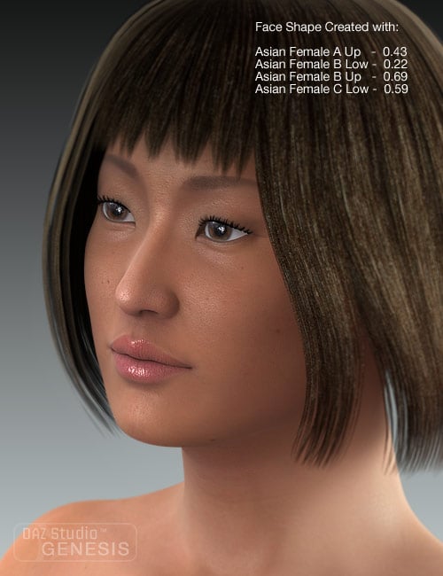 Ethnicity for Genesis: Asian Ethnicity for Genesis: Asian by: , 3D Models by Daz 3D