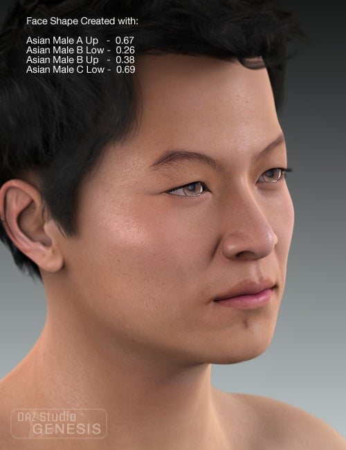 Ethnicity for Genesis: Asian by: , 3D Models by Daz 3D