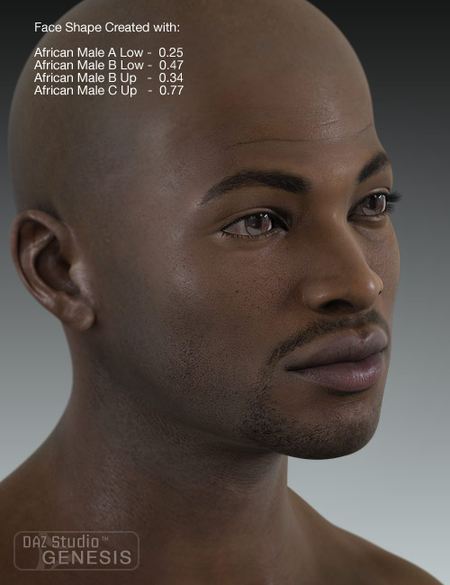 Ethnicity for Genesis: African by: , 3D Models by Daz 3D