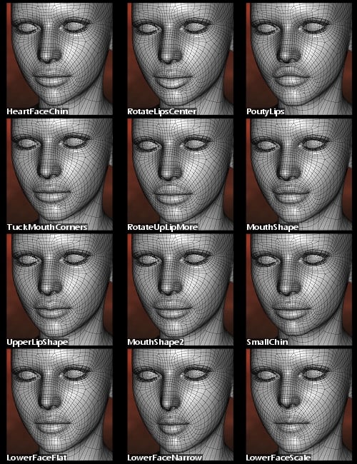 Genesis Head Morph Resource Kit 2 by: ThorneHandspan Studios, 3D Models by Daz 3D
