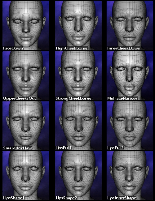 Genesis Head Morph Resource Kit 3 by: ThorneHandspan Studios, 3D Models by Daz 3D