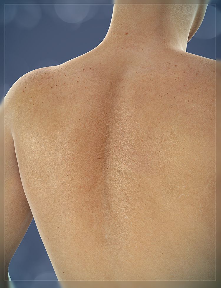 Michael 5 Elite Skin Texture Dave Michael 5 Elite Skin Texture Dave by: , 3D Models by Daz 3D