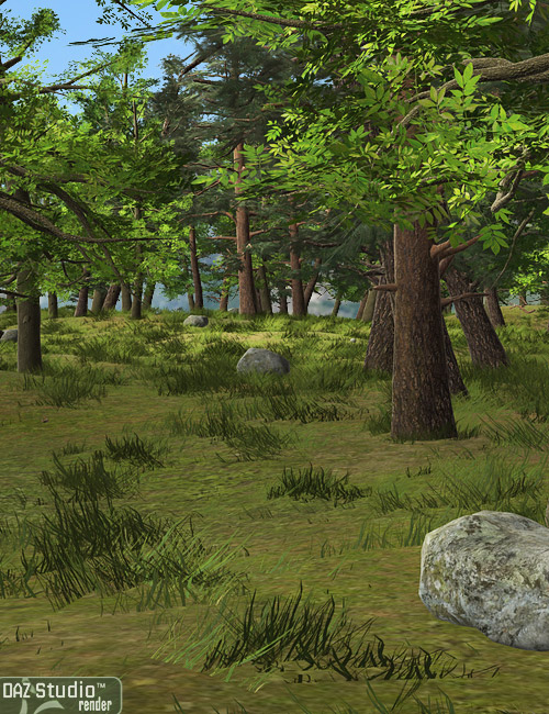 Forest Forest by: Andrey Pestryakov, 3D Models by Daz 3D