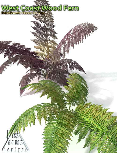 West Coast Wood Fern West Coast Wood Fern by: MartinJFrost, 3D Models by Daz 3D