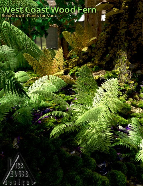 West Coast Wood Fern West Coast Wood Fern by: MartinJFrost, 3D Models by Daz 3D