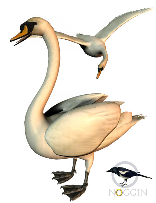 Noggin's Poser Swan by: noggin, 3D Models by Daz 3D