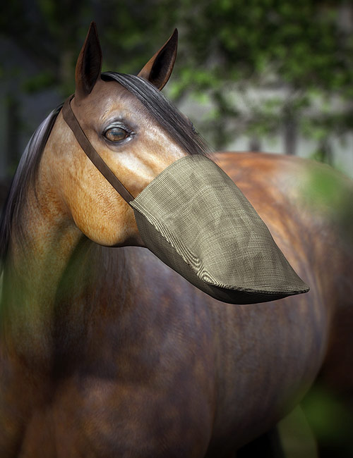 Equestrian Props by: Valandar, 3D Models by Daz 3D
