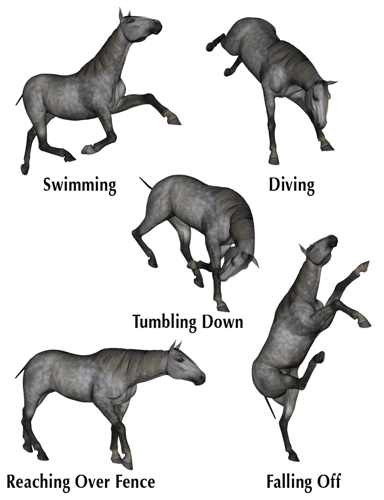 Range, Ranch, and Rodeo Action Range, Ranch, and Rodeo Action by: Don Albert, 3D Models by Daz 3D